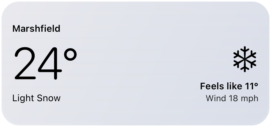 Minimal DS Weather widget showing 24 degrees, light snow, a feels-like temperature of 11 degrees, and wind at 18 miles per hour